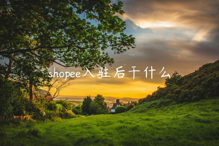 shopee入駐后干什么